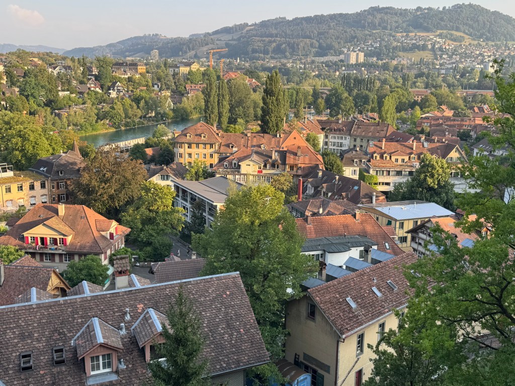スイスの都市の屋根と緑豊かな風景を俯瞰で捉えた写真。川と丘が背景にあり、歴史的な建物が点在している。